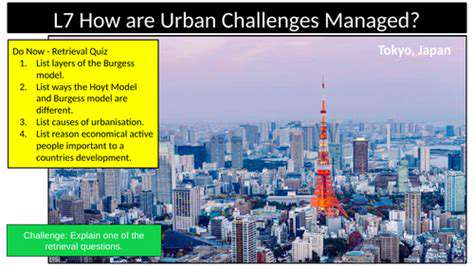 BeyondtheConvenience:AddressingUrbanChallenges