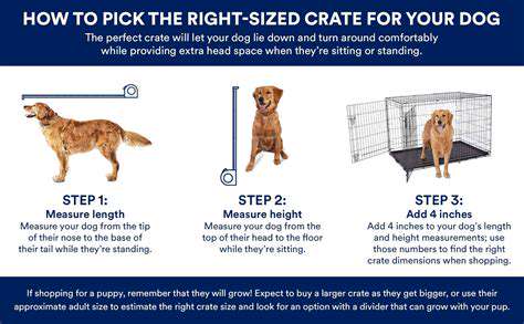 ChoosingtheRightSizeandMaterialforYourNeeds
