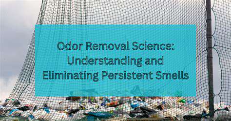 AdvancedOdorRemovalMethodsforPersistentSmells