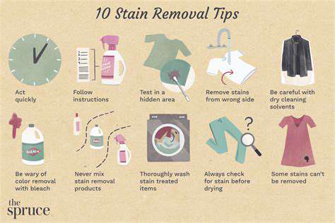 ConqueringtheCrumbCatastrophe:RemovingFoodStains