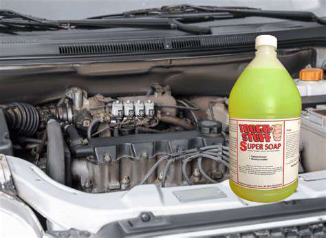 Car Engine Cleaning Products: Degreasers and Detailers