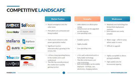 TheCompetitiveLandscapeandKeyDifferentiators