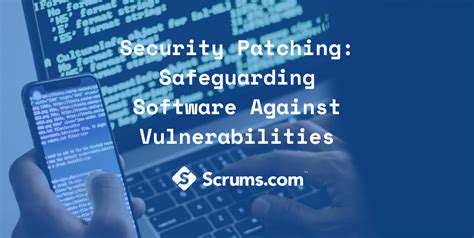 SoftwareVulnerabilitiesandPatchingStrategies